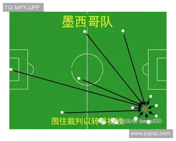 南京排球队比赛经验分享与战术分析探讨