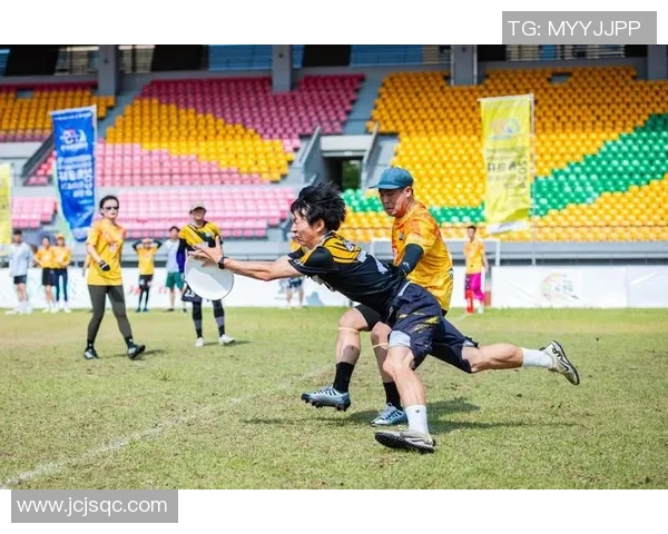 南京飞盘队比赛经验分享与技巧探讨助力飞盘运动发展