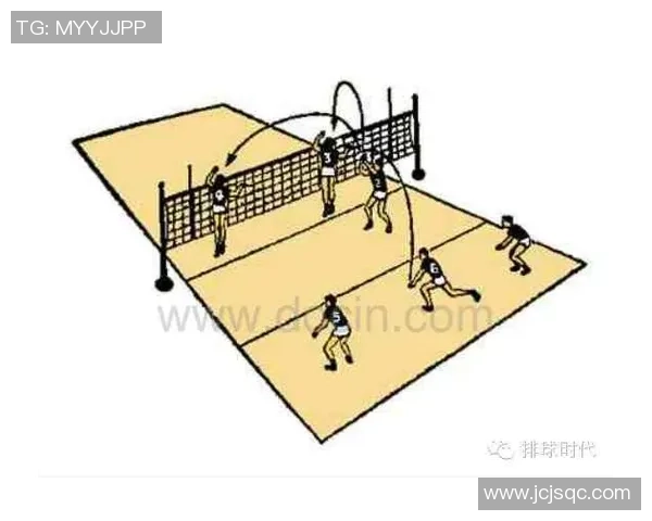 广州排球队战术解析与发展策略探讨之路